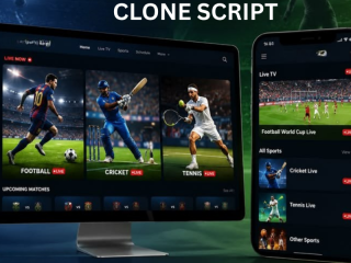 see-our-bet365-clone-software-in-action-request-a-free-demo