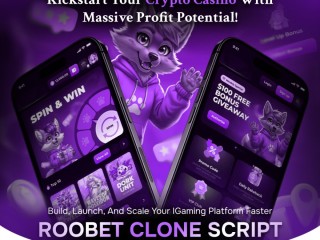 turbocharge-your-casino-startup-journey-with-roobet-clone-script-now